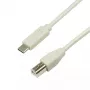 LogiLink CU0160 cabo USB 2.0 de USB-C para USB-B, 1 m, cinzento