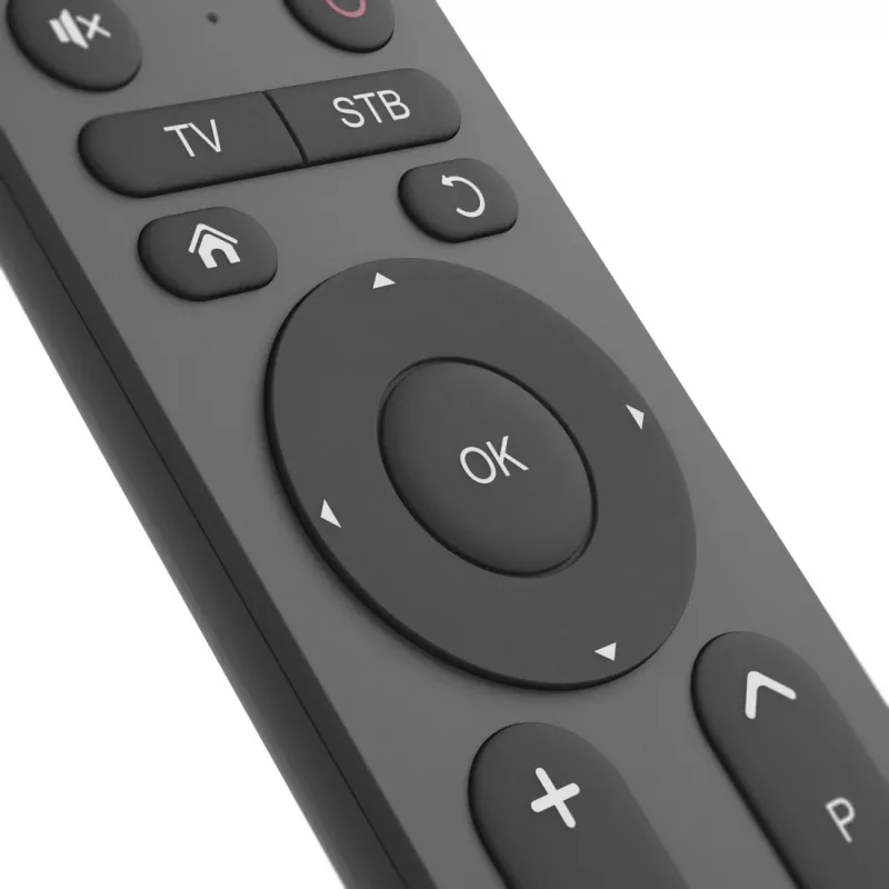 Hama 00221056 telecomando universal para TV 2 em 1, IV, teclas grandes, com aprendizagem, preto