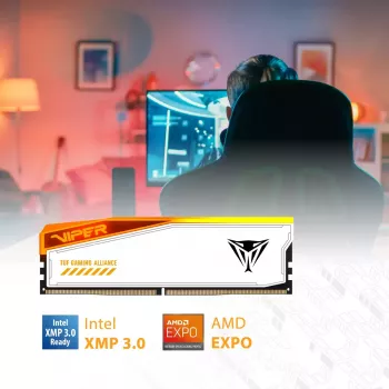 Patriot Viper Elite 5 RGB TUF Gaming Alliance DDR5 SDRAM kit de 32GB 3000MHz CL36 On-die ECC DIMM 288-PIN