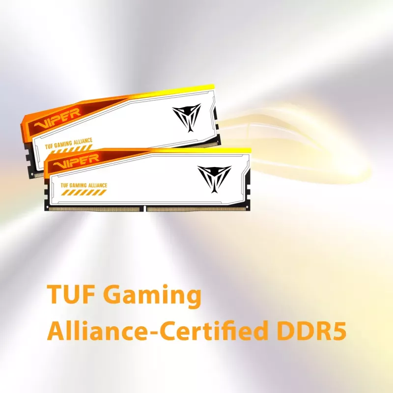 Patriot Viper Elite 5 RGB TUF Gaming Alliance DDR5 SDRAM kit de 32GB 3000MHz CL36 On-die ECC DIMM 288-PIN
