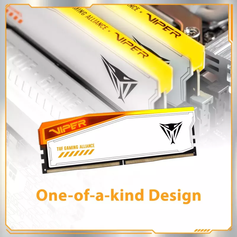 Patriot Viper Elite 5 RGB TUF Gaming Alliance DDR5 SDRAM kit de 32GB 3000MHz CL36 On-die ECC DIMM 288-PIN