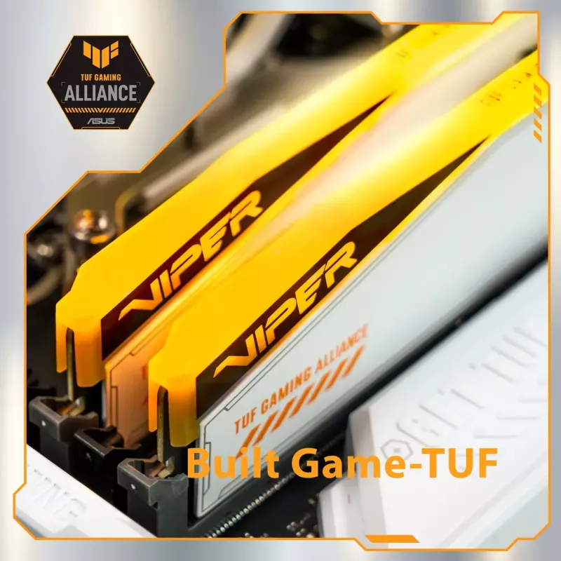 Patriot Viper Elite 5 RGB TUF Gaming Alliance DDR5 SDRAM kit de 32GB 3000MHz CL36 On-die ECC DIMM 288-PIN