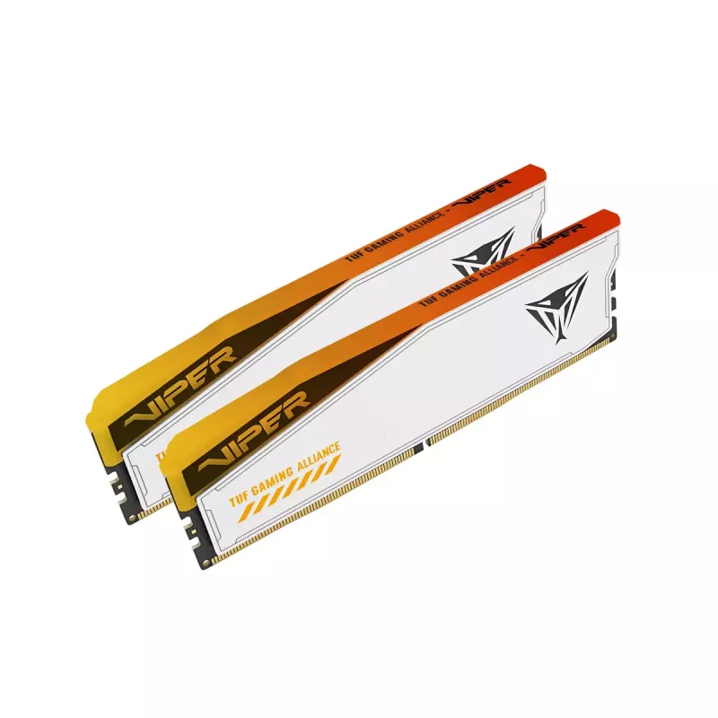 Patriot Viper Elite 5 RGB TUF Gaming Alliance DDR5 SDRAM kit de 32GB 3000MHz CL36 On-die ECC DIMM 288-PIN
