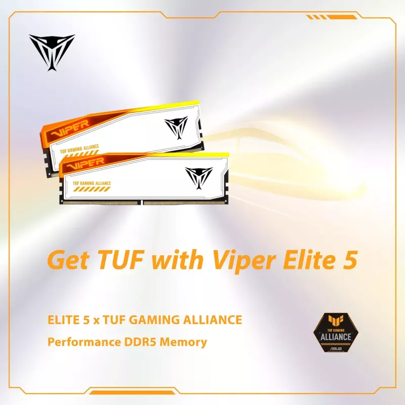 Patriot Viper Elite 5 RGB TUF Gaming Alliance DDR5 SDRAM kit de 32GB 3000MHz CL36 On-die ECC DIMM 288-PIN