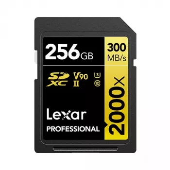 Cartão de memória Lexar 256 GB SDXC Class 10 LSD2000256G-BNNNG