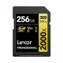 Cartão de memória Lexar 256 GB SDXC Class 10 LSD2000256G-BNNNG