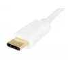 Adaptador USB Type-C para áudio Equip