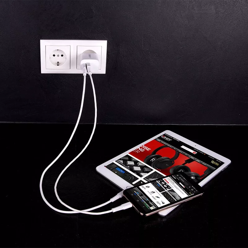 Lindy 73413 carregador USB-A e USB-C, 20 W, Power Delivery, 100–240 V, branco