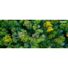 Xerox 008R13326 recipiente de toner residual para C230/C235