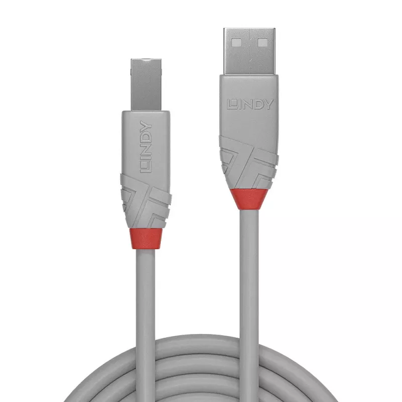 Cabo Lindy 1 m USB 2.0 Type-A para B, Anthra Line, cinzento