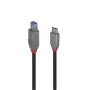 Cabo USB 3.2 Type-C para B Lindy 2 m, Anthra Line