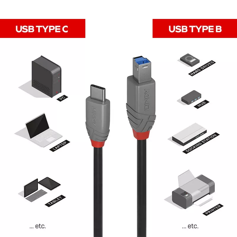 Cabo USB 3.2 Type-C para B Lindy 2 m, Anthra Line