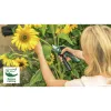 Bosch EasyPrune Classic 06008B2102 tesoura de poda sem fios, bypass, 3,6 V, capacidade de corte 25 mm, 490 g, verde/preta