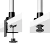 Suporte de secretária para monitor StarTech.com para ecrãs 27 polegadas 16:9 ou 30 polegadas 21:9 ultrawide, VESA 75x75/100x100, ajustes do braço sem ferramentas, fixação em C/por passagem na secretária, braço com mola
