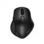 Rato ASUS MW203 Escritório Destro RF Wireless + Bluetooth Ótico 2400 DPI