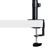 StarTech.com A-LAPTOP-DESK-MOUNT suporte de secretária para monitor e portátil, para ecrãs até 34 polegadas (8 kg / 17,6 lb) e portáteis (4,5 kg / 9,9 lb), braço articulado com tabuleiro VESA para portátil, montagem com grampo
