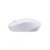 Rato Acer M501 RF Wireless Optical