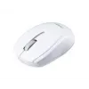 Rato Acer M501 RF Wireless Optical
