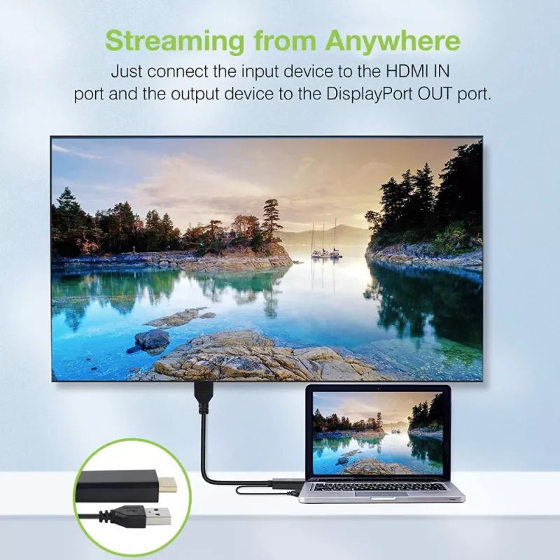 Techly ICOC-HDMI-DP12A adaptador de HDMI para DisplayPort com alimentação USB, 4K 30 Hz