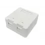 Caixa de ligação Lanview LVN127767 2 x RJ-45 branca