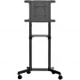 StarTech.com Carrinho de TV móvel - Suporte de TV rolante portátil para ecrã VESA de 37-70 polegadas (154lb/70kg) - Suporte de TV com prateleira e compartimento de arrumação - Ecrã giratório/inclinável - Suporte de TV universal sobre rodas