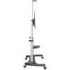 Suporte de TV móvel StarTech.com – carrinho de TV para cargas pesadas para ecrãs de 60–100 polegadas (100 kg) – suporte de chão rolante para ecrã plano com altura ajustável – suporte de TV universal com prateleiras