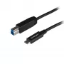 Cabo StarTech.com 1 m USB-B para USB-C, USB 10 Gbit/s, cabo de dados, USB 3.2 Gen 2, cabo de transferência de dados USB-C