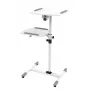 Vivolink VLPS100 suporte para projetor chão branco