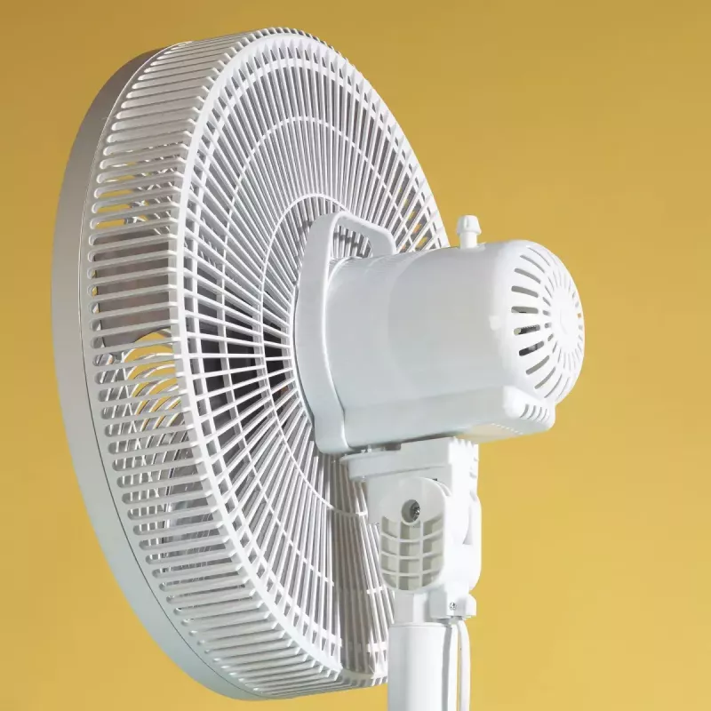 Ventilador doméstico JATA JVVP3060