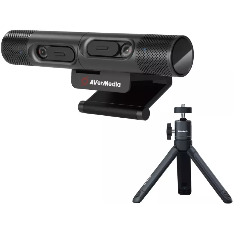 Webcam AVerMedia PW313D 5 MP 2592 x 1944 píxeis