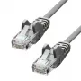 Cabo de rede ProXtend CAT5e U/UTP CCA PVC cinzento 0,25 m