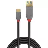 Cabo adaptador USB 3.2 Type-C para A Lindy 0,15 m, 10 Gbit/s, Anthra Line