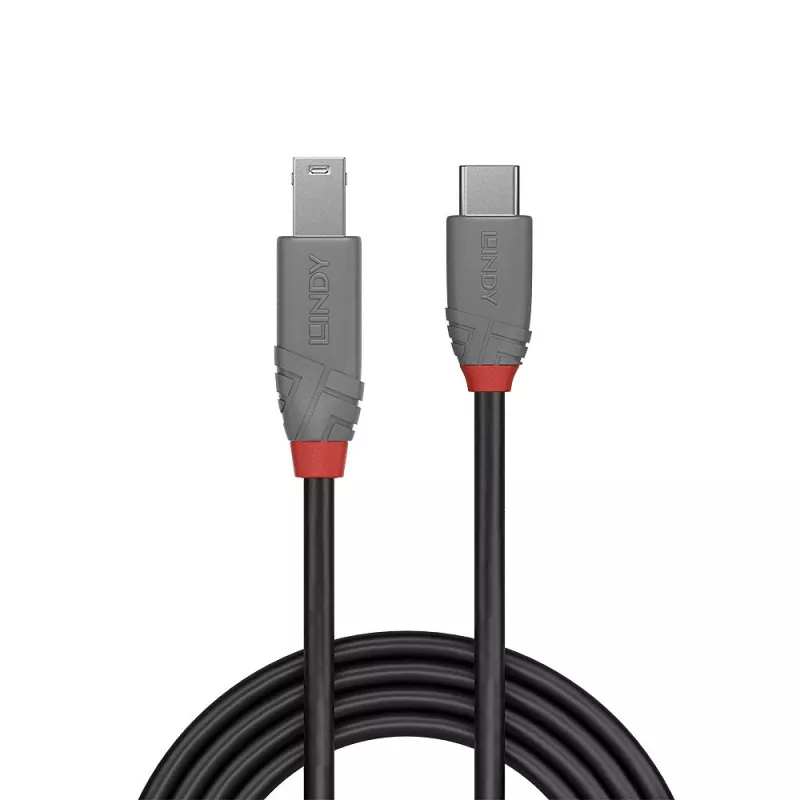 Cabo Lindy USB 3.2 Type-C para B, 1 m, Anthra Line