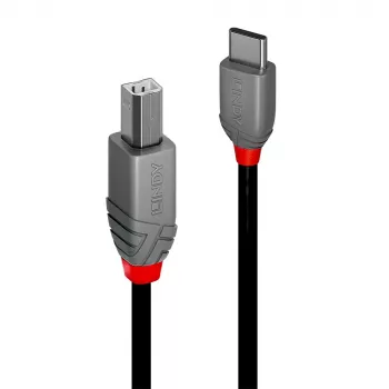 Cabo Lindy USB 2.0 Type-C para B, 1 m, Anthra Line