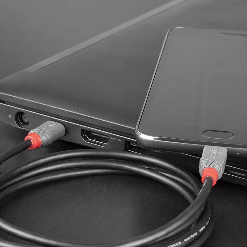 Cabo Lindy USB 2.0 Type-C para Micro-B, 3 m, Anthra Line