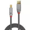 Cabo Lindy USB 3.2 Type-A para B, 1 m, 5 Gbit/s, Cromo Line