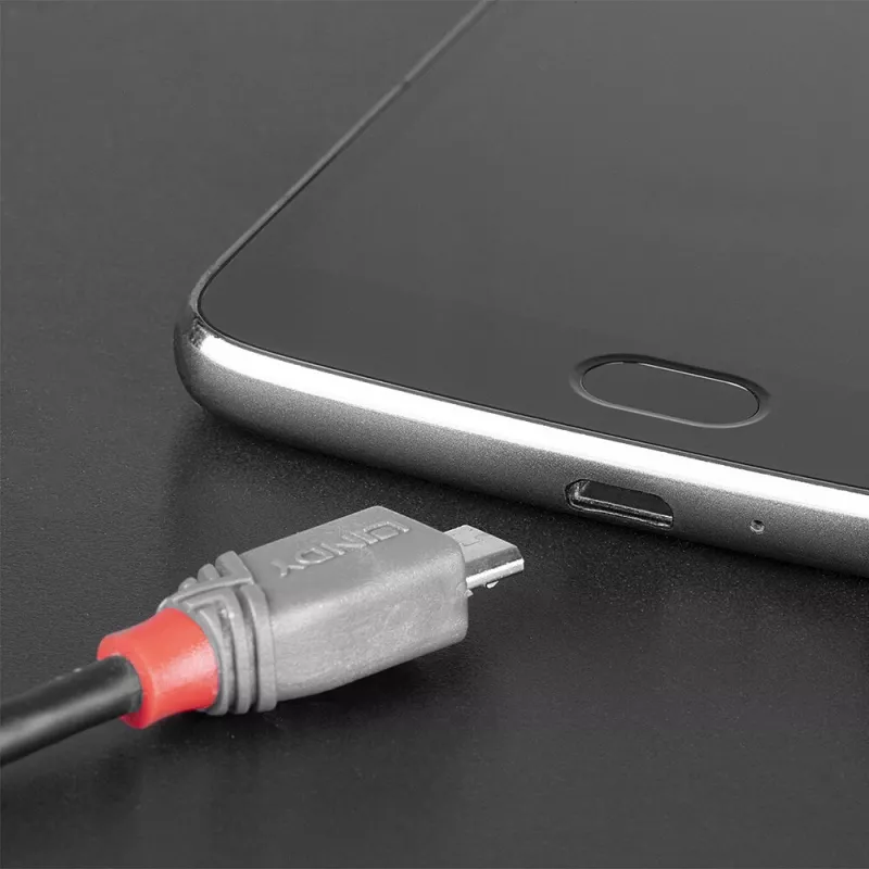 Cabo Lindy USB 2.0 Type-C para Micro-B, 2 m, Anthra Line