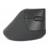 Rato sem fios Manhattan Ergonomic Vertical Right Handed RF