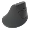 Rato sem fios Manhattan Ergonomic Vertical Right Handed RF
