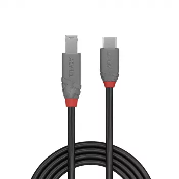 Cabo Lindy 0,5 m USB 3.2 Type-C macho para B macho 5 Gbit/s preto