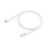 Cabo USB 3.2 Gen 1 Type-C para A Equip, M/M, 2 m
