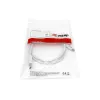 Cabo USB 3.2 Gen 1 Type-C para A Equip, M/M, 2 m