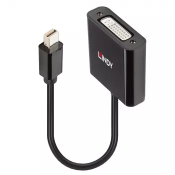 Conversor ativo Lindy Mini DisplayPort para DVI 0,16 m preto