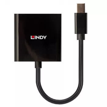 Conversor ativo Lindy Mini DisplayPort para DVI 0,16 m preto