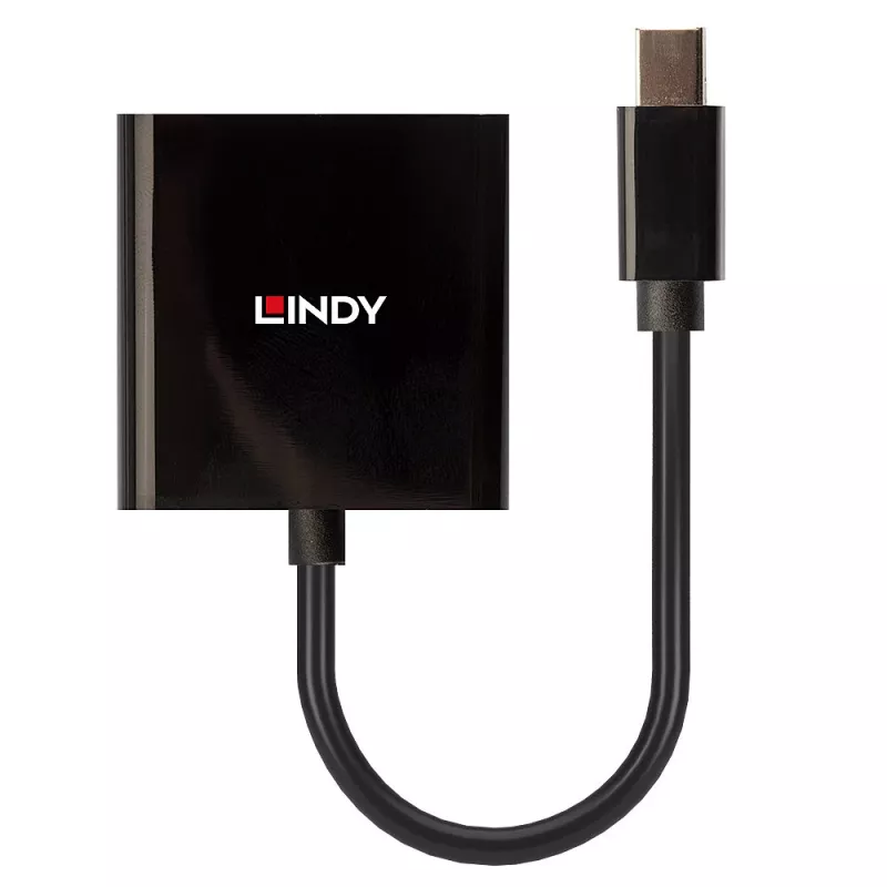 Conversor ativo Lindy Mini DisplayPort para DVI 0,16 m preto