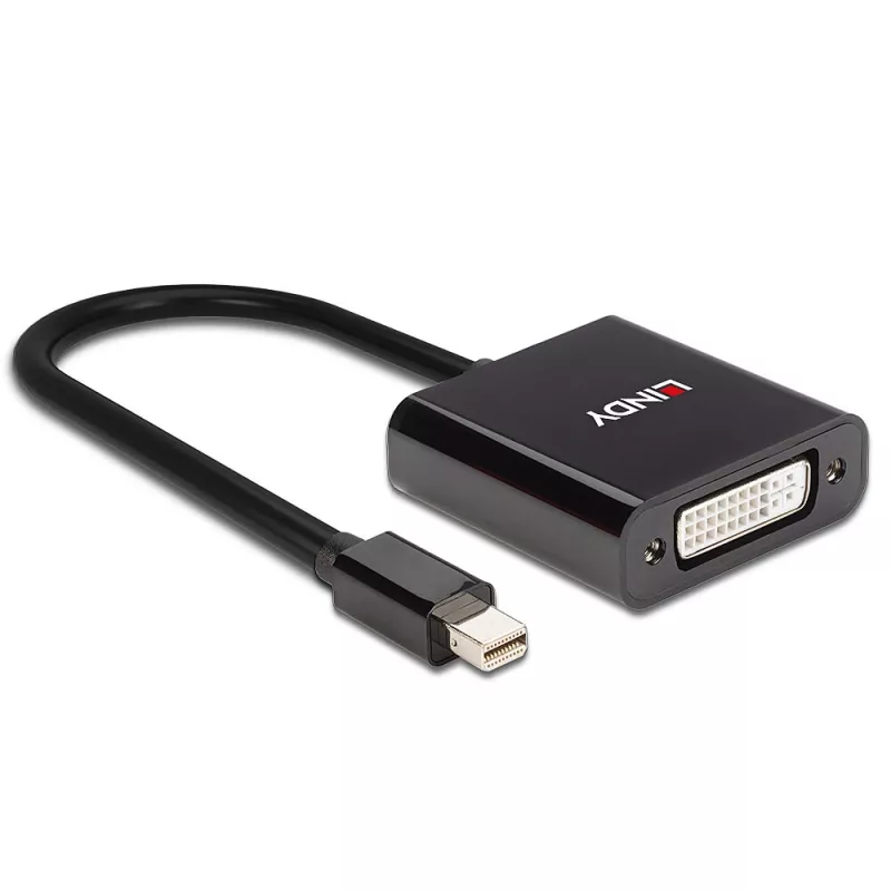 Conversor ativo Lindy Mini DisplayPort para DVI 0,16 m preto