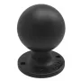 Placa AMPS redonda com esfera RAM Mounts RAM-D-254U