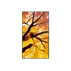 Sharp MultiSync PN-M982 ecrã interativo plano 2,48 m (97,5 polegadas) LED 550 cd/m² 4K Ultra HD preto 24/7