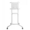 Suporte de parede/base de TV Vivolink VLFS3770 177,8 cm (70 polegadas) branco