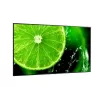 Ecrã plano de sinalização digital NEC MultiSync E758 189,2 cm (74,5 polegadas) LED 400 cd/m² 4K Ultra HD preto 18/7